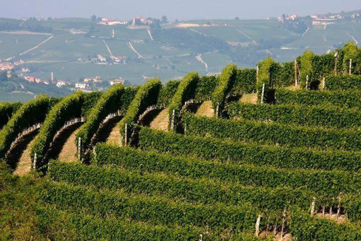 Agriturismo Cascina Rabalot Diano d'Alba Luaran gambar
