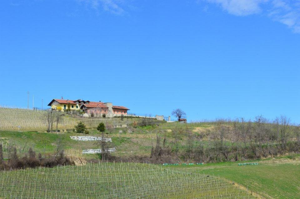 Agriturismo Cascina Rabalot Diano d'Alba Luaran gambar