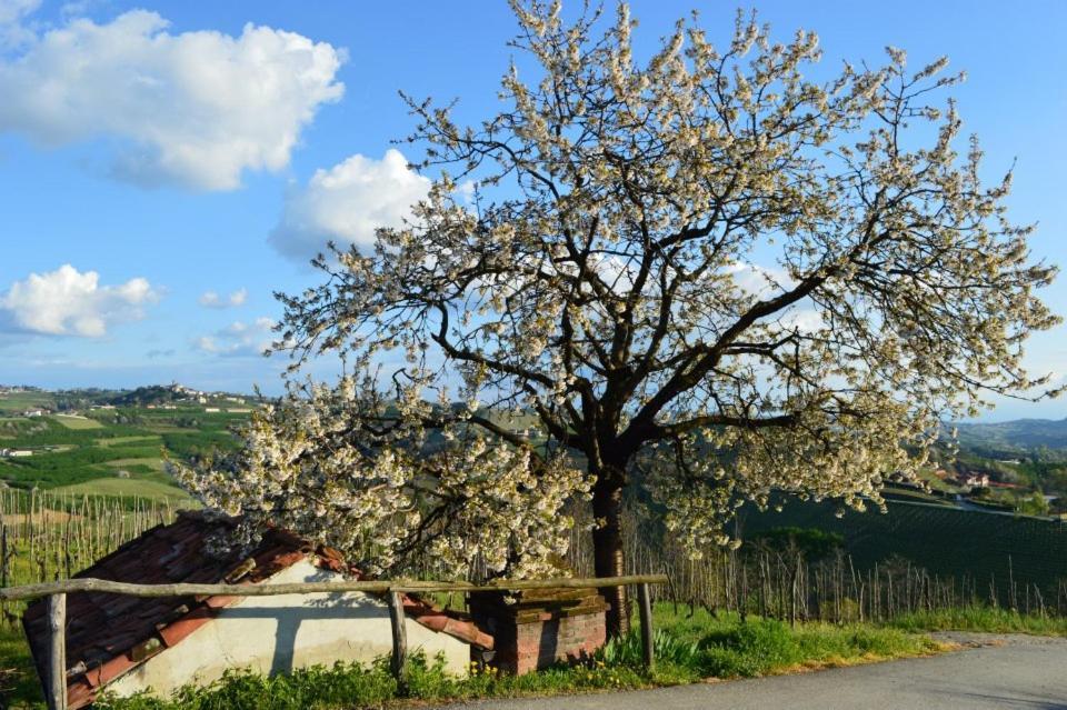 Agriturismo Cascina Rabalot Diano d'Alba Luaran gambar