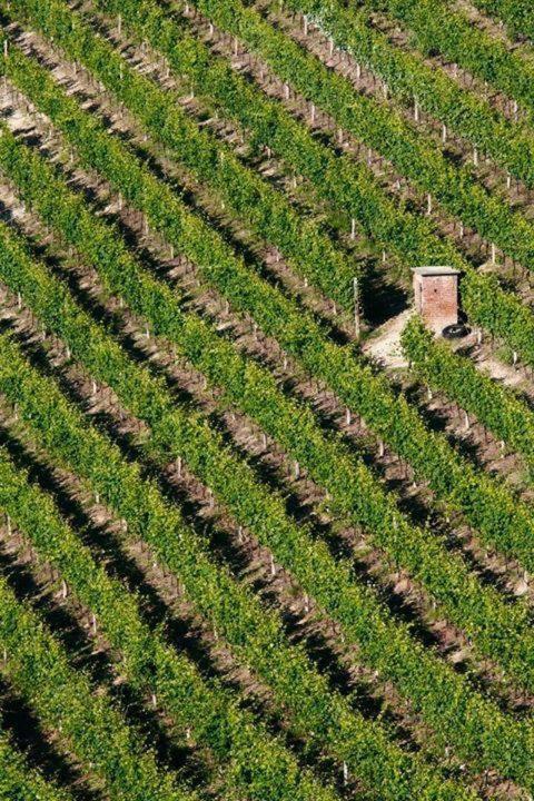 Agriturismo Cascina Rabalot Diano d'Alba Luaran gambar