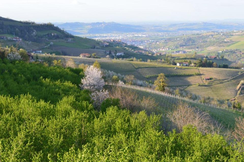 Agriturismo Cascina Rabalot Diano d'Alba Luaran gambar